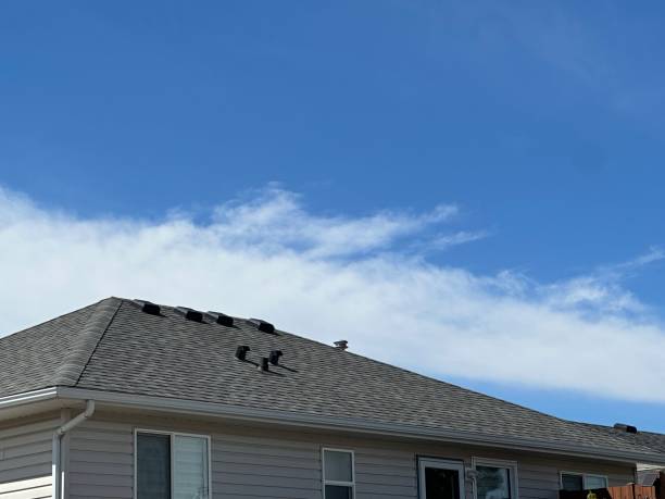 Best Steel Roofing  in Gorman, TX